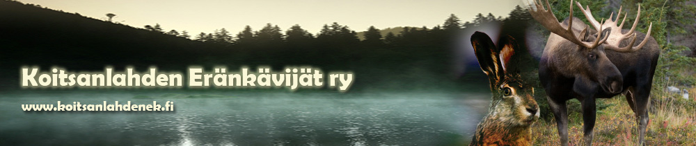 rhy.fi